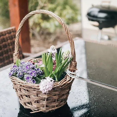 An Der Wiederitz Lejlighed Freital