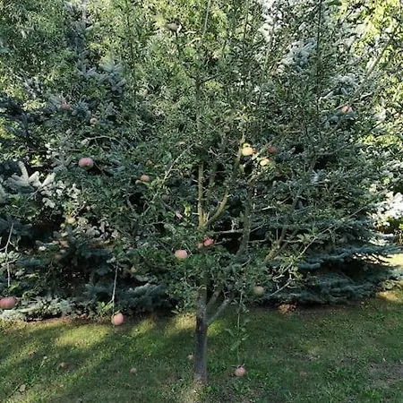 An Der Wiederitz Lejlighed